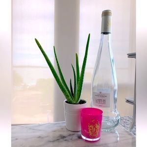 Lampe De Meduse Rosé Bottle Vase Decor